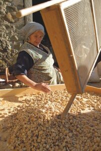 Lunigiana castagne vagliatura PH Press