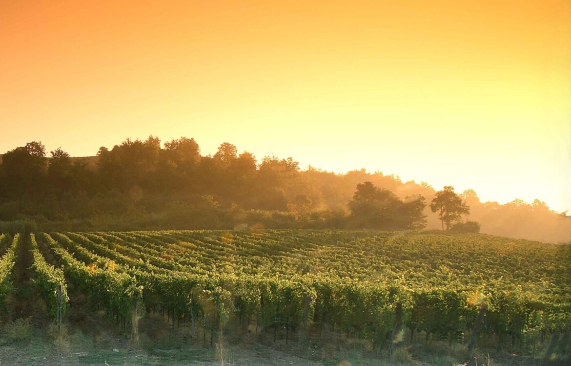 RID-CARPINETO Tenuta di Dudda -Greve in Chianti PH Press