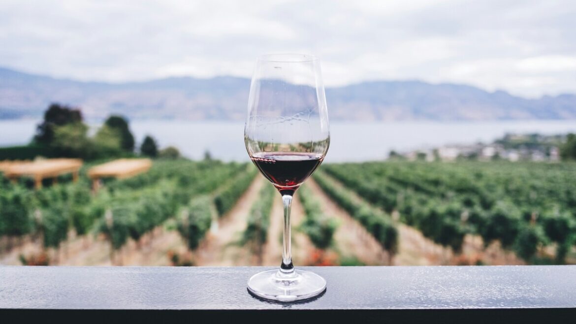 Calice di vino rosso tra i filari di un vigneto di montagna, evocativo dei vini di quota della Cantina Pratenberg in Alto Adige
